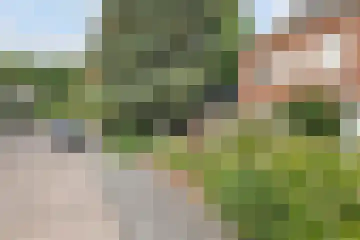 Seringenstraat 10 's-Hertogenbosch thumbnail 45