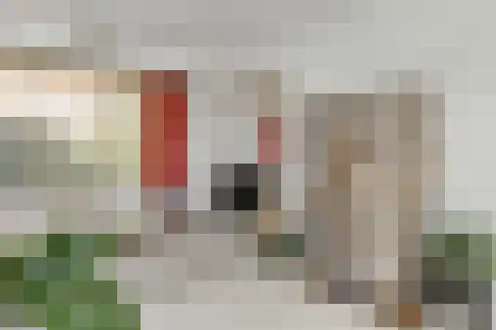 Seringenstraat 10 's-Hertogenbosch thumbnail 5