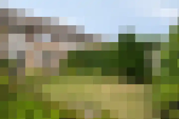 Seringenstraat 11 Valkenswaard thumbnail 19
