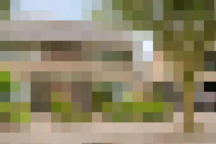 Seringenstraat 11 Valkenswaard thumbnail 21