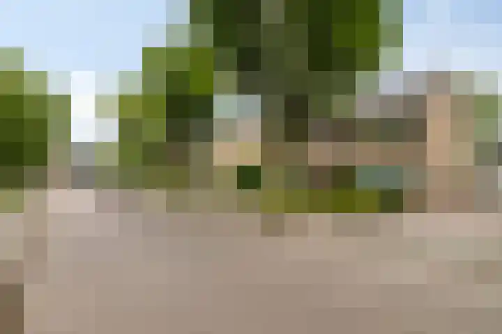 Seringenstraat 11 Valkenswaard thumbnail 22