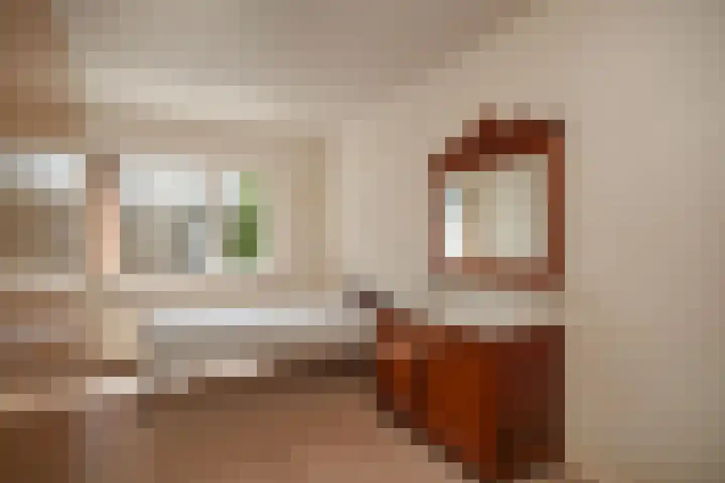 Seringenstraat 12 Beneden-Leeuwen thumbnail 20