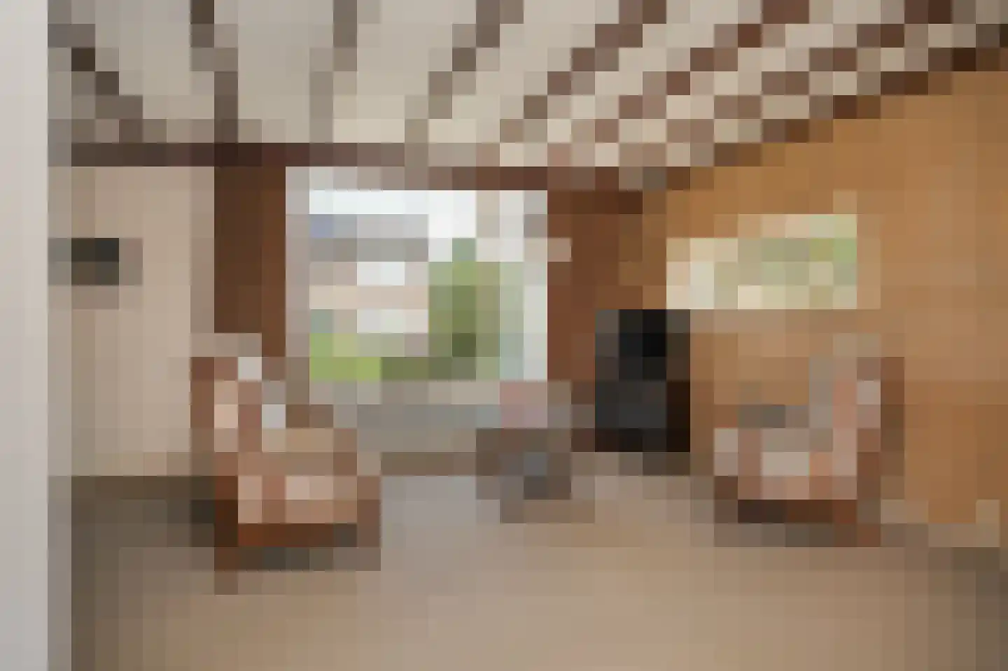 Seringenstraat 12 Beneden-Leeuwen thumbnail 8
