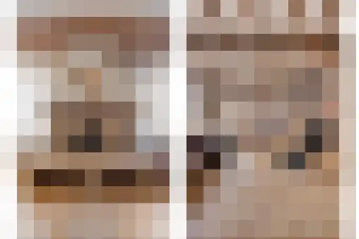 Seringenstraat 12 Eindhoven thumbnail 10