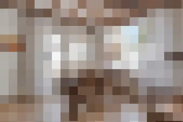 Seringenstraat 12 Eindhoven thumbnail 11