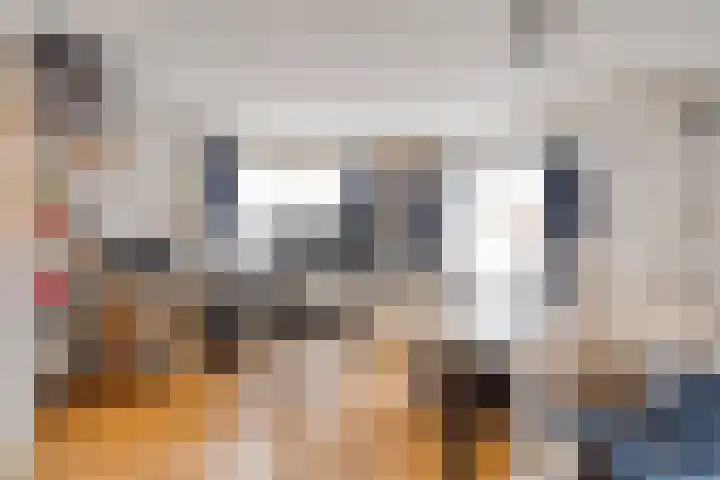 Seringenstraat 12 Eindhoven thumbnail 19
