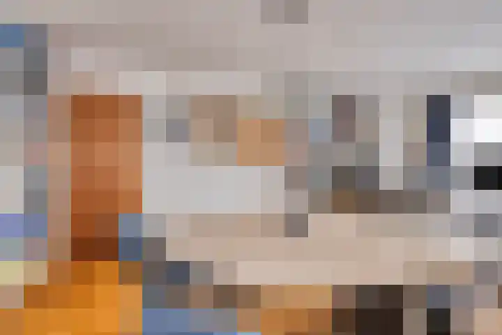 Seringenstraat 12 Eindhoven thumbnail 20