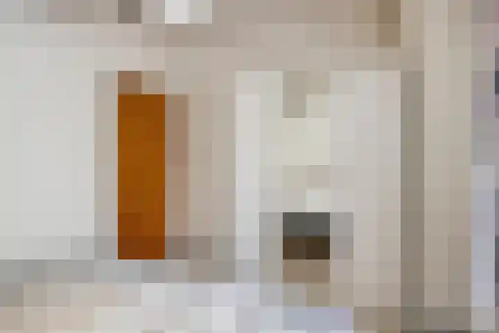 Seringenstraat 12 Eindhoven thumbnail 22