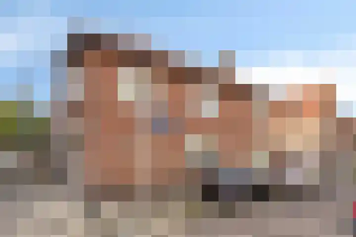 Seringenstraat 12 Eindhoven thumbnail 31