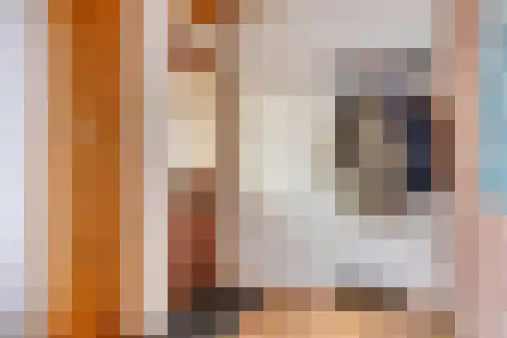 Seringenstraat 12 Eindhoven thumbnail 5