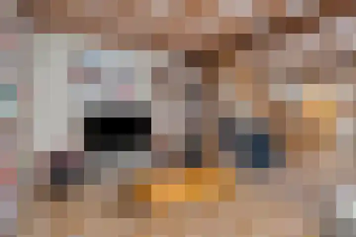 Seringenstraat 12 Eindhoven thumbnail 8