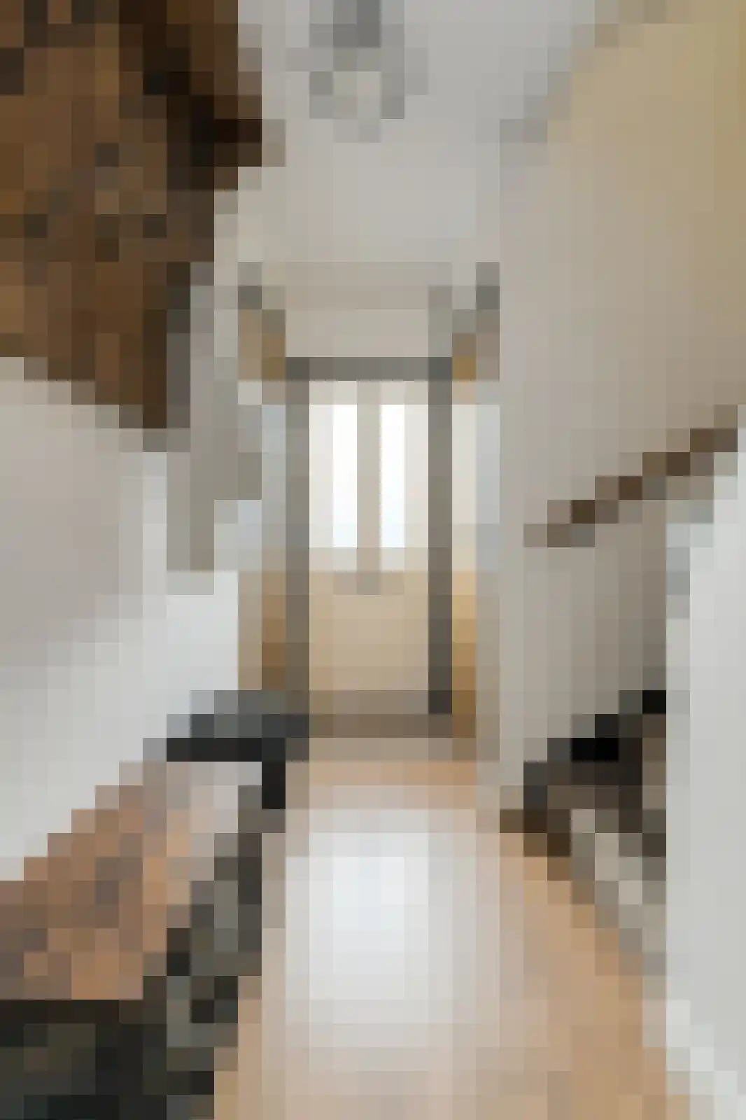 Seringenstraat 12 Oosterhout thumbnail 12