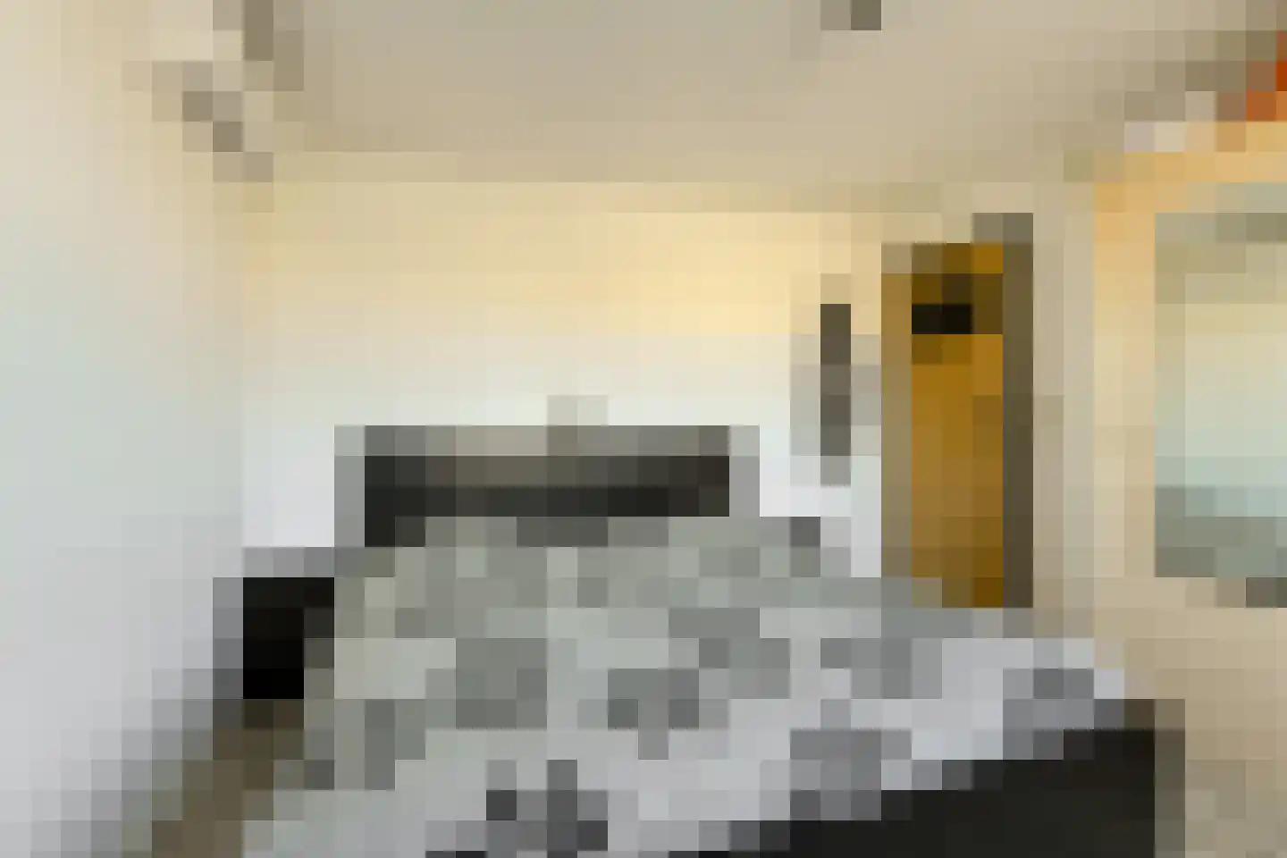 Seringenstraat 12 Oosterhout thumbnail 14