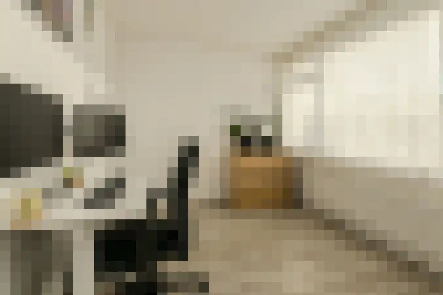 Seringenstraat 12 Oosterhout thumbnail 18