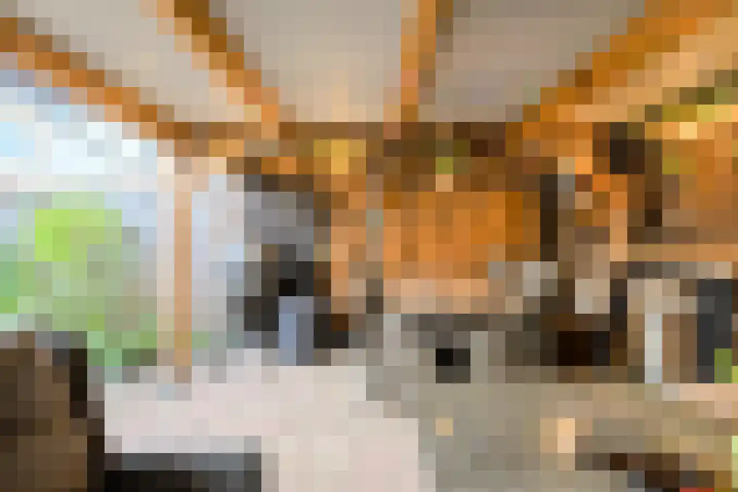 Seringenstraat 12 Oosterhout thumbnail 30