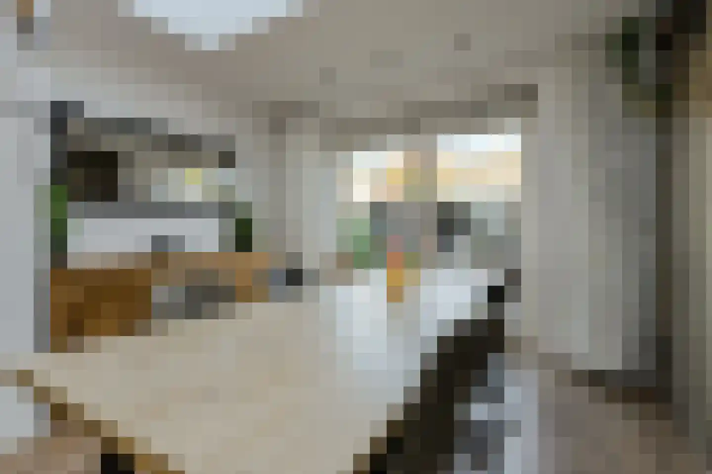 Seringenstraat 12 Oosterhout thumbnail 5