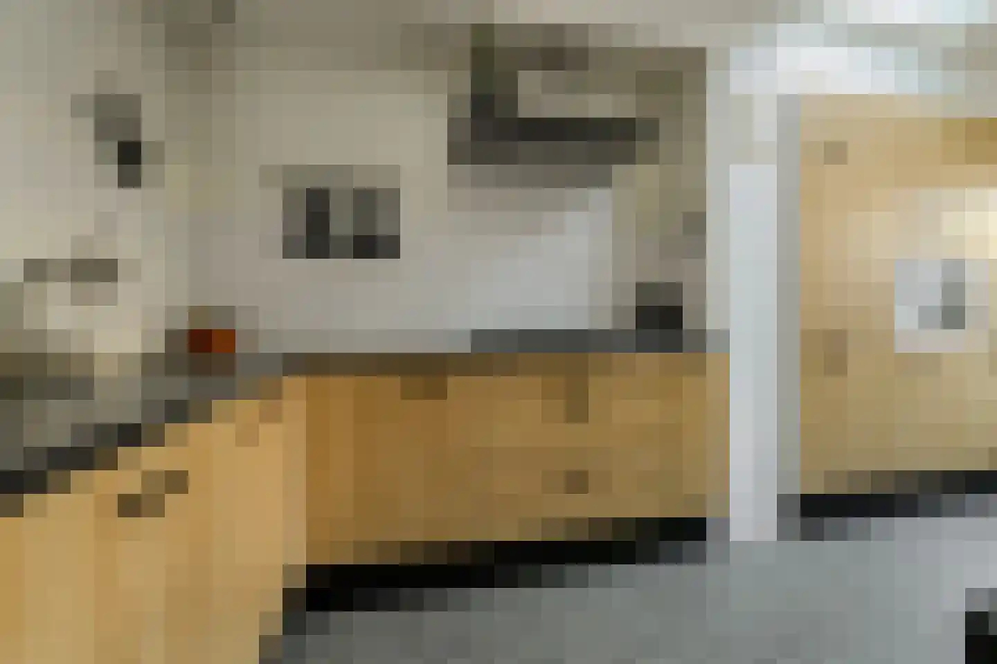 Seringenstraat 12 Oosterhout thumbnail 9