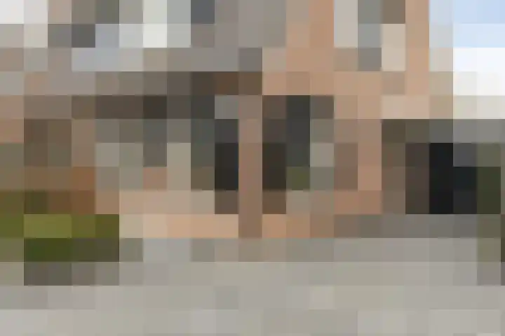 Seringenstraat 12 Opheusden thumbnail 42