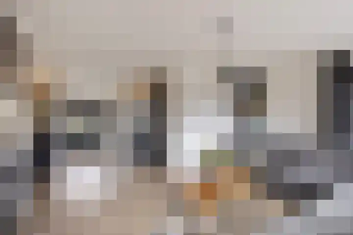 Seringenstraat 12 Opheusden thumbnail 5