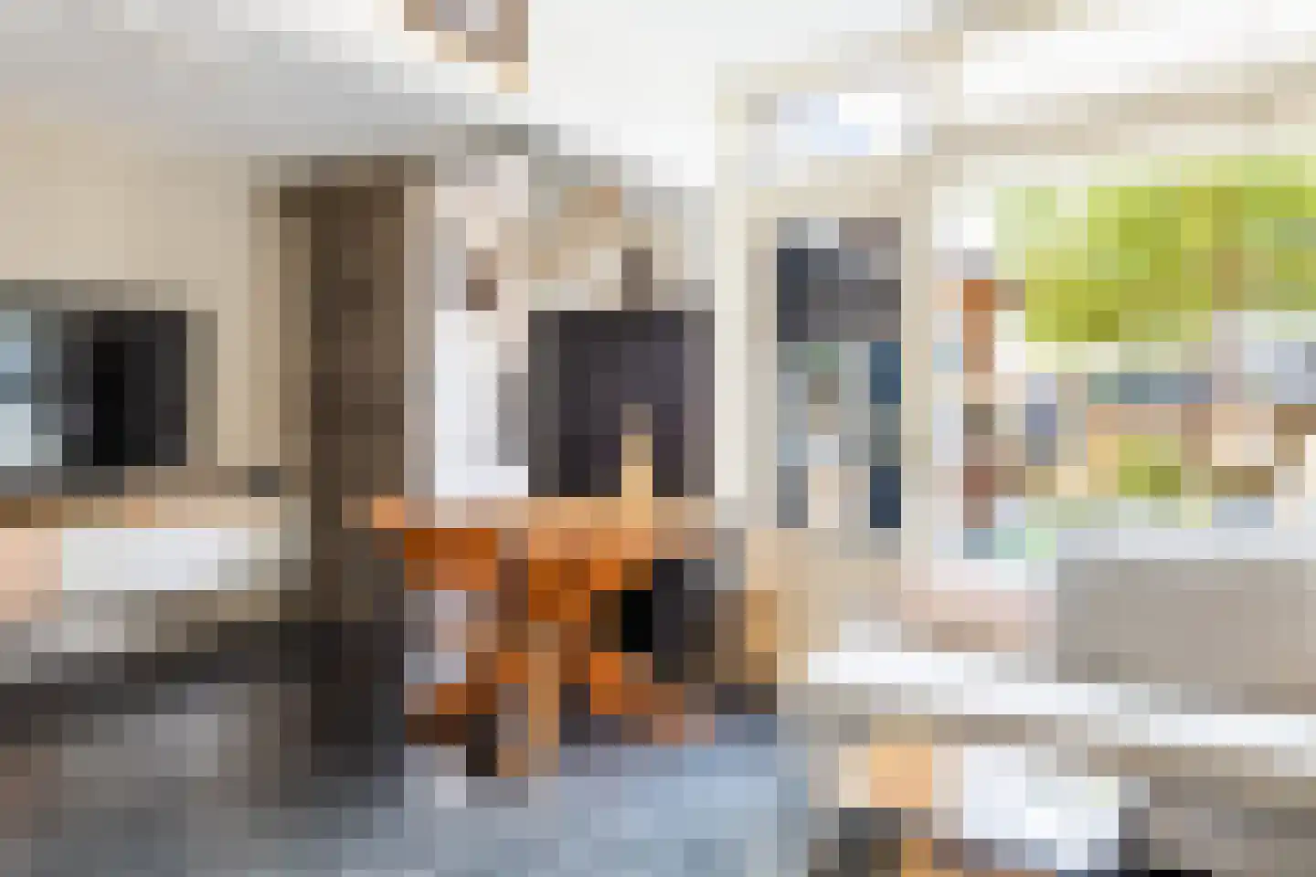 Seringenstraat 12 Oud-Beijerland thumbnail 12