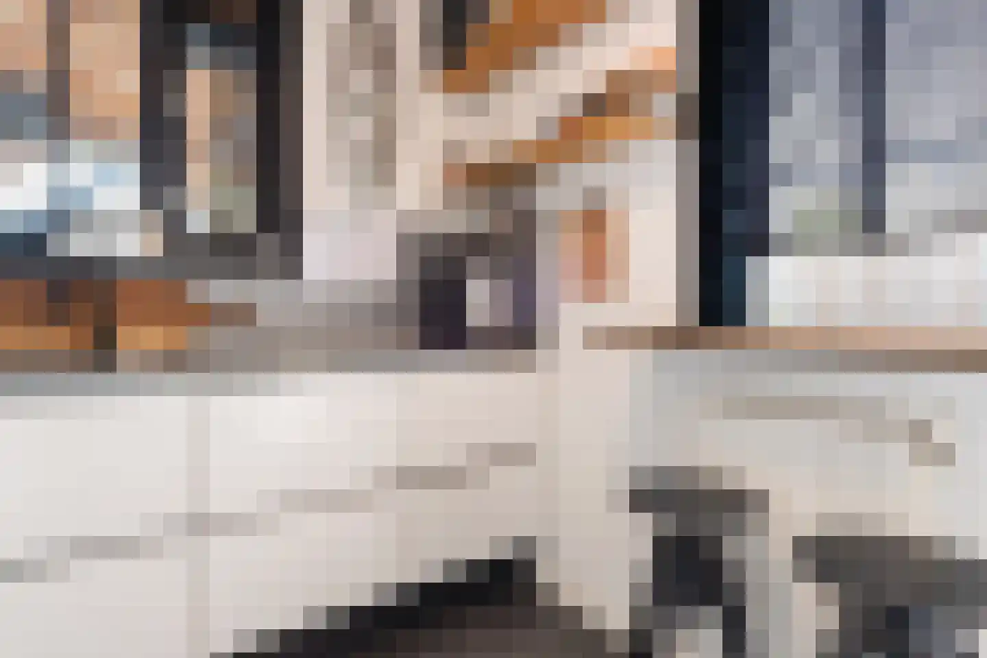 Seringenstraat 12 Oud-Beijerland thumbnail 15