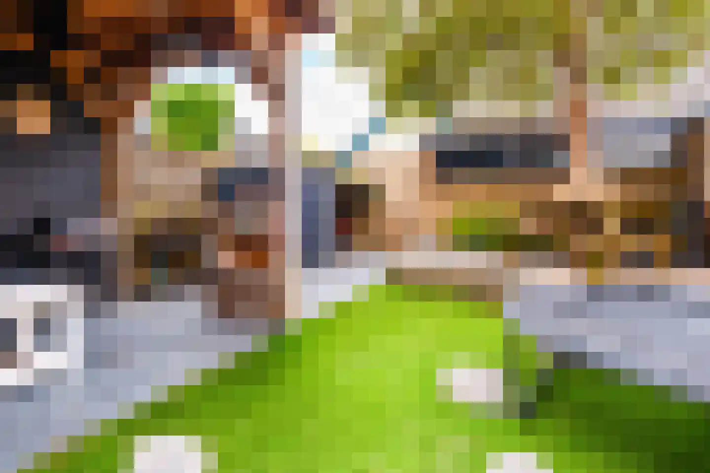 Seringenstraat 12 Oud-Beijerland thumbnail 17