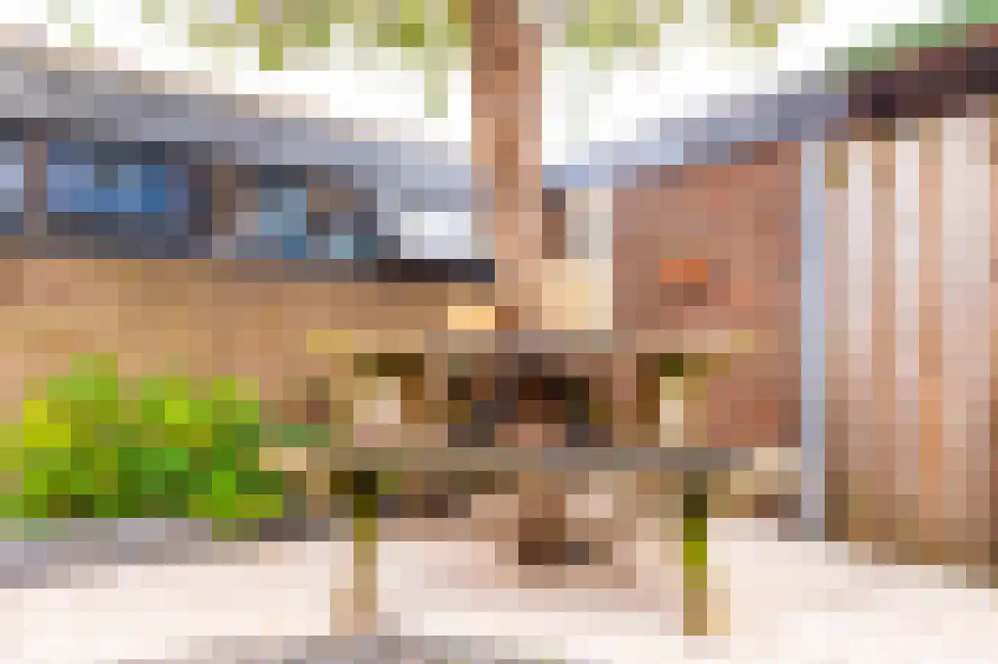 Seringenstraat 12 Oud-Beijerland thumbnail 19