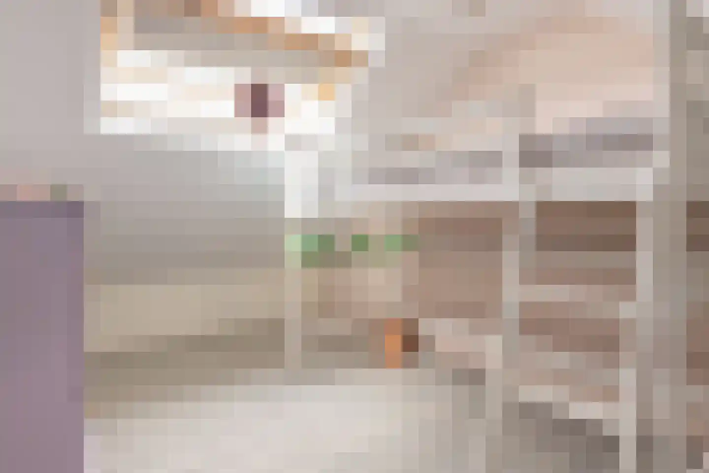 Seringenstraat 12 Oud-Beijerland thumbnail 37