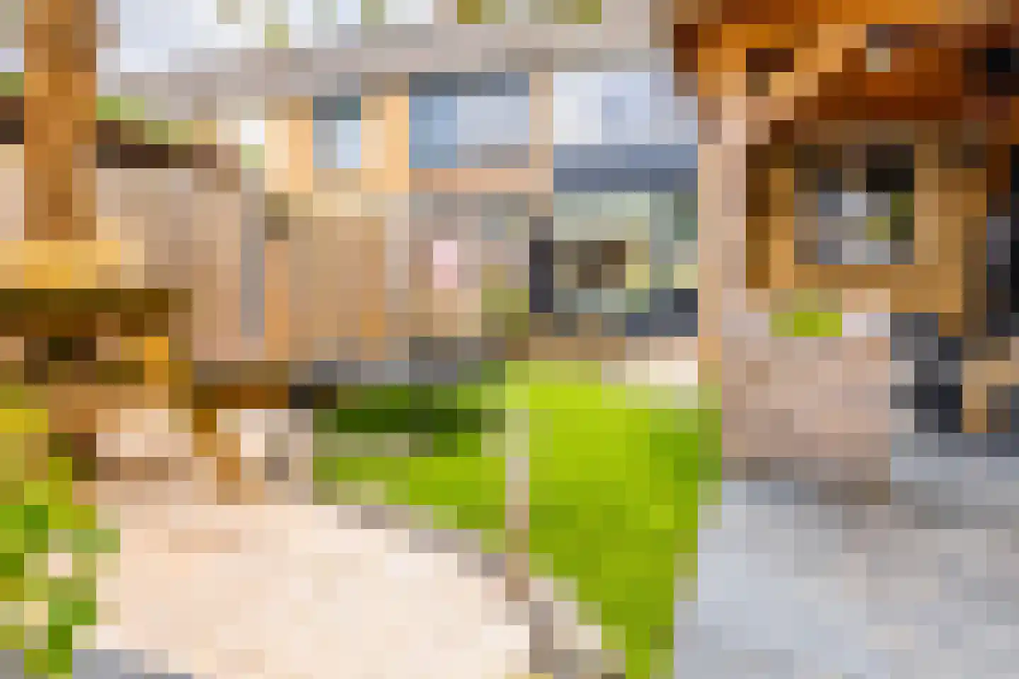 Seringenstraat 12 Oud-Beijerland thumbnail 4