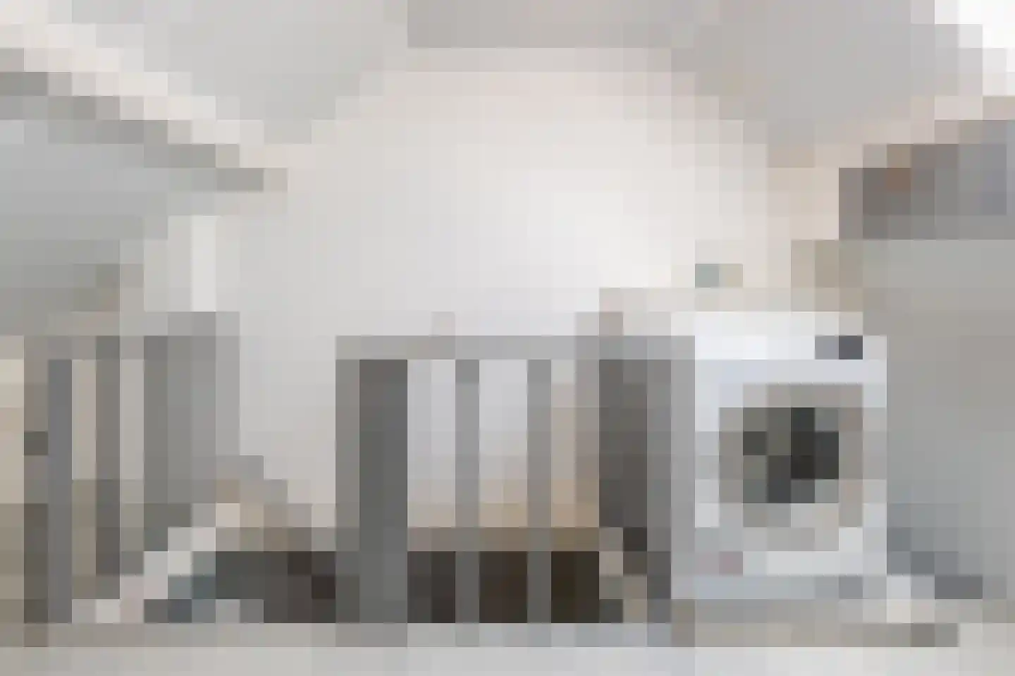 Seringenstraat 12 Oud-Beijerland thumbnail 40