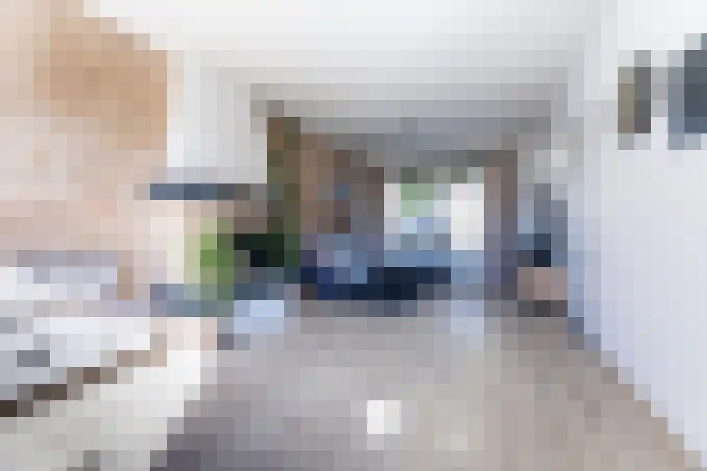 Seringenstraat 13 Putte thumbnail 13