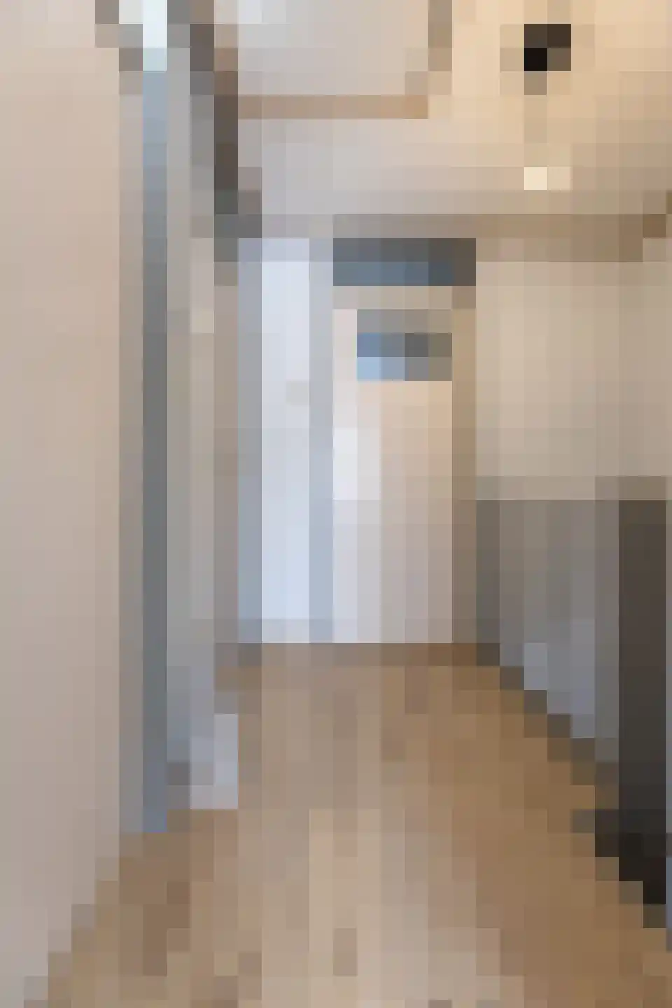 Seringenstraat 13 Putte thumbnail 18