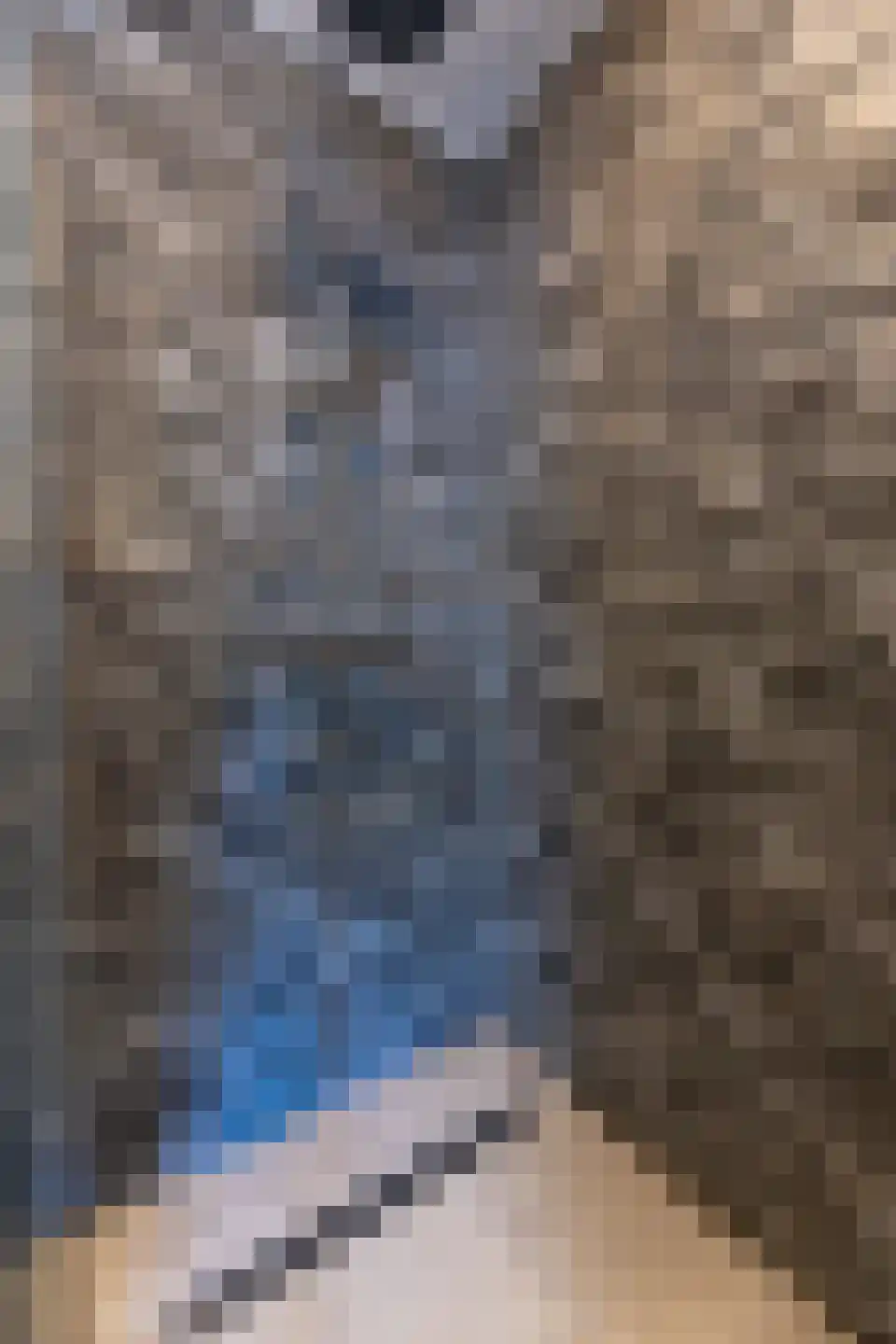 Seringenstraat 13 Putte thumbnail 23