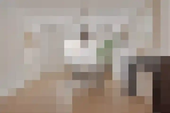 Seringenstraat 14 Eindhoven thumbnail 11