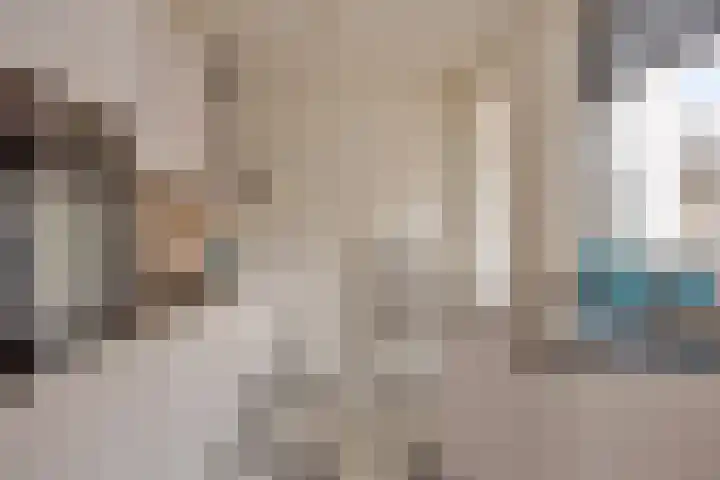 Seringenstraat 14 Eindhoven thumbnail 13