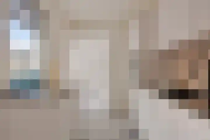 Seringenstraat 14 Eindhoven thumbnail 15