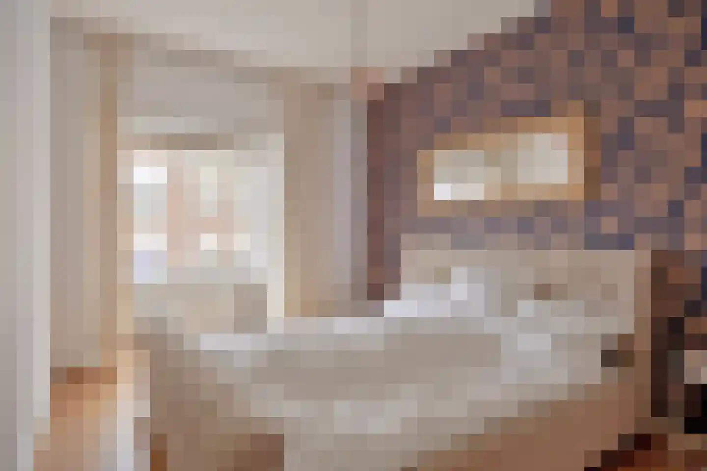 Seringenstraat 14 Eindhoven thumbnail 21