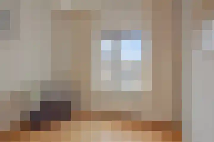 Seringenstraat 14 Eindhoven thumbnail 23