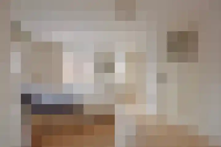 Seringenstraat 14 Eindhoven thumbnail 32
