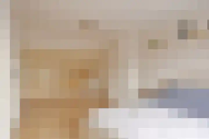 Seringenstraat 14 Eindhoven thumbnail 33