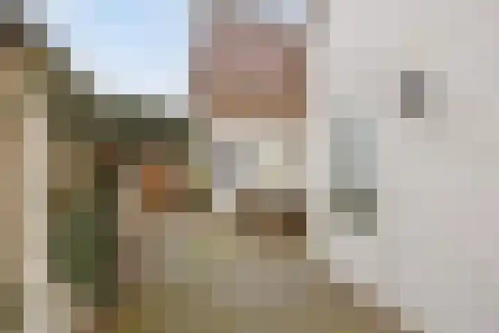 Seringenstraat 14 Eindhoven thumbnail 36
