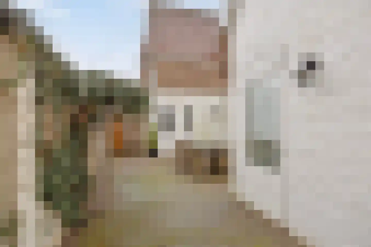 Seringenstraat 14 Eindhoven thumbnail 36