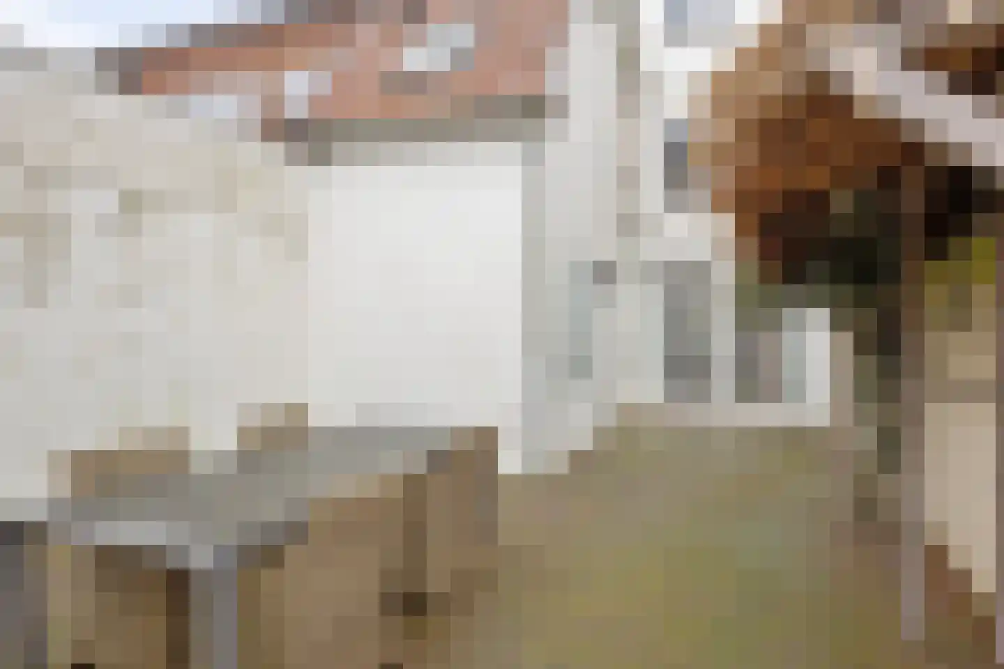 Seringenstraat 14 Eindhoven thumbnail 37