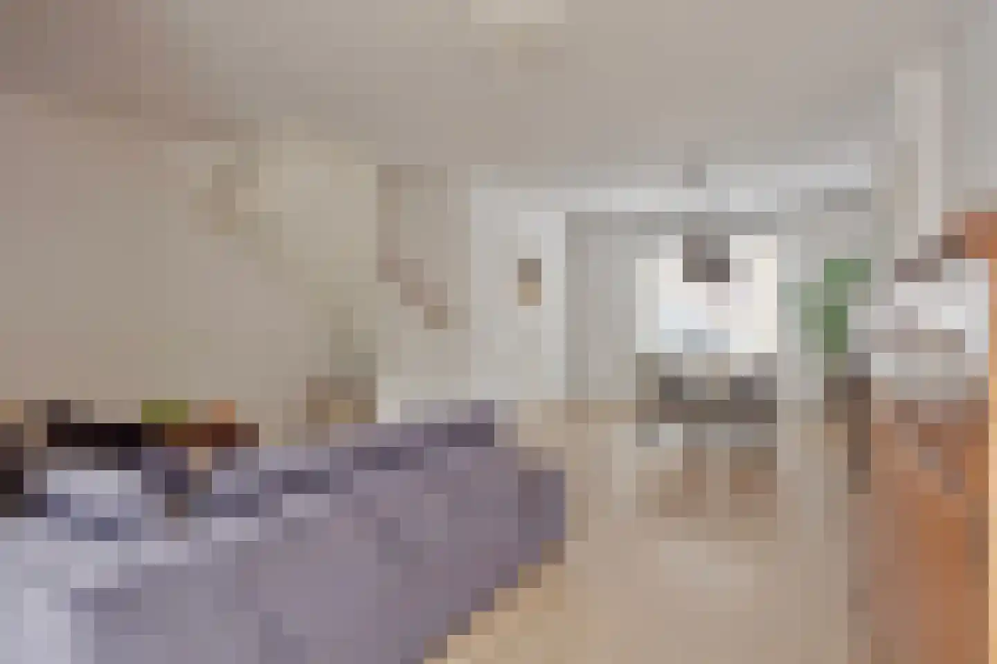 Seringenstraat 14 Eindhoven thumbnail 9
