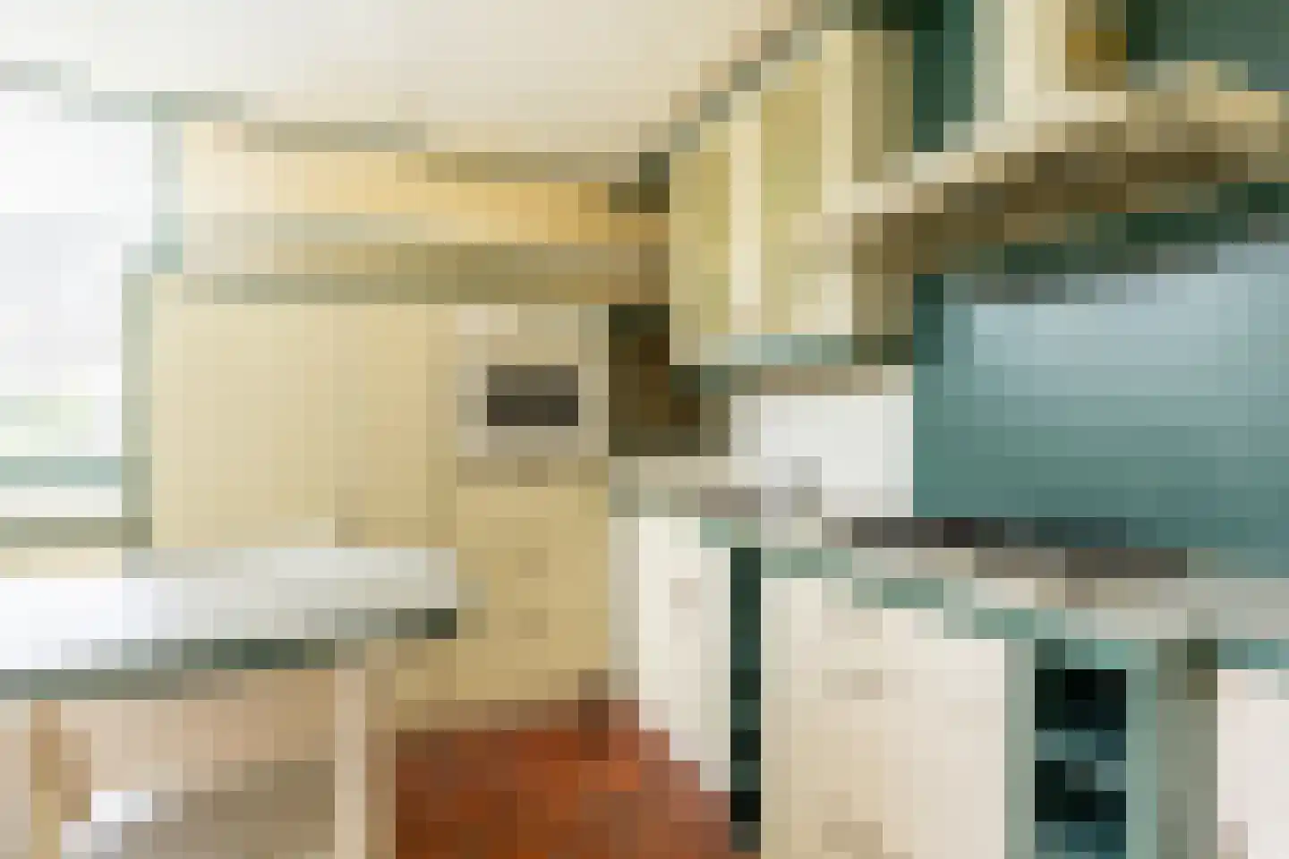 Seringenstraat 15 's-Gravendeel thumbnail 13