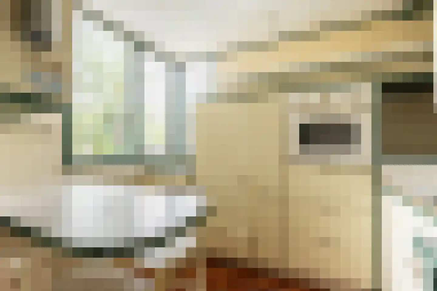 Seringenstraat 15 's-Gravendeel thumbnail 14