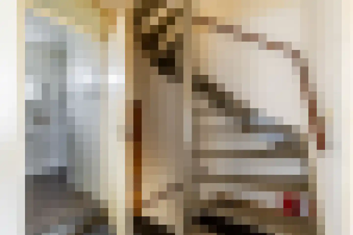 Seringenstraat 15 's-Gravendeel thumbnail 21