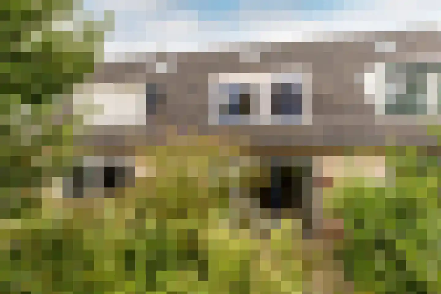 Seringenstraat 15 's-Gravendeel thumbnail 4