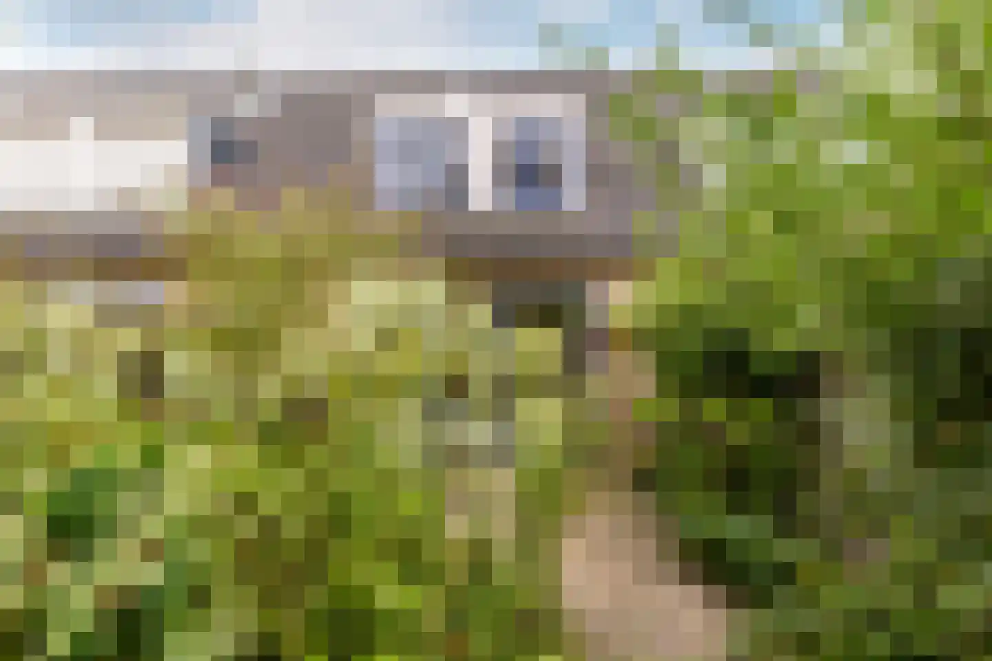 Seringenstraat 15 's-Gravendeel thumbnail 5