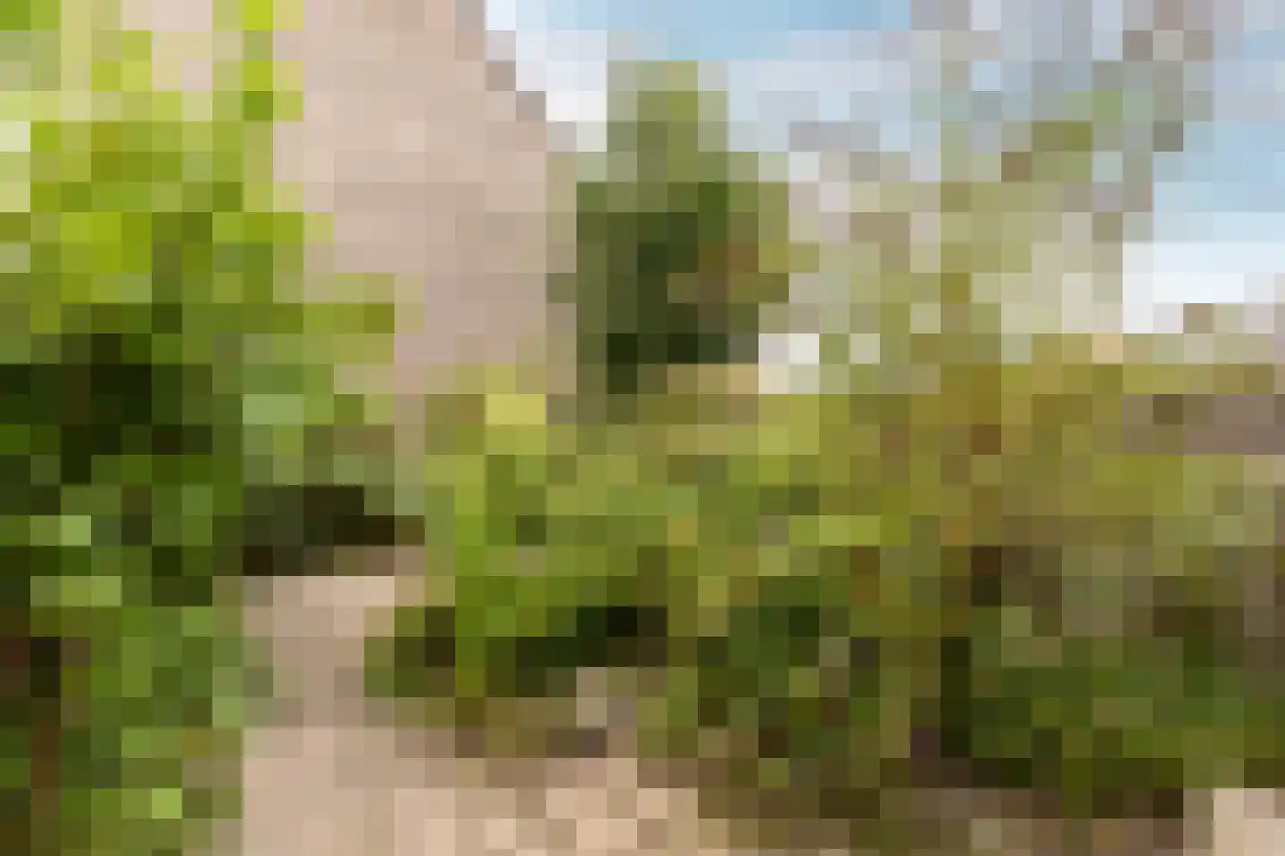 Seringenstraat 15 's-Gravendeel thumbnail 6